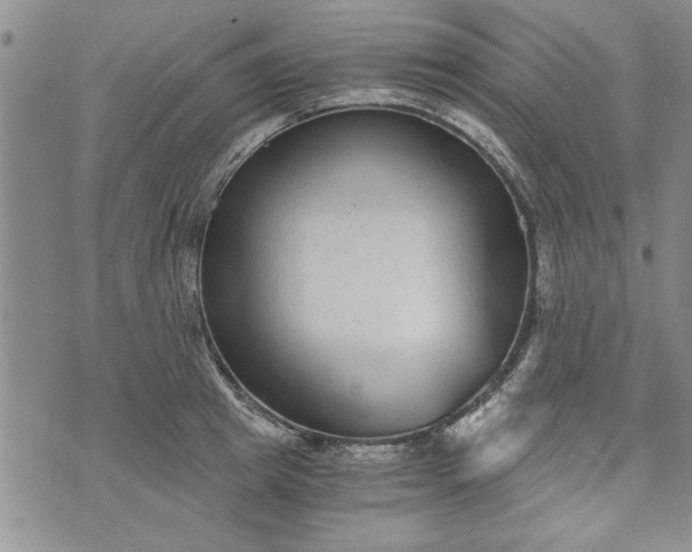 X0000072960849200608041151