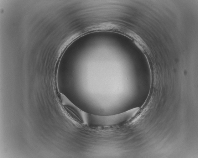 X0000072960850200608041151