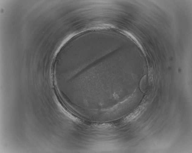 X0000072960851200608041151