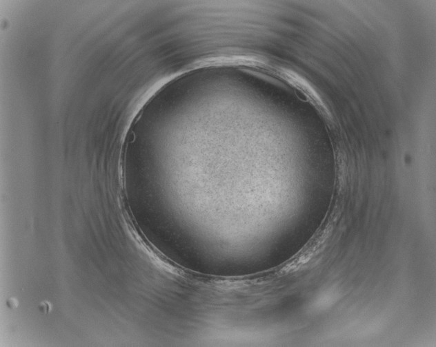 X0000072960852200608041151