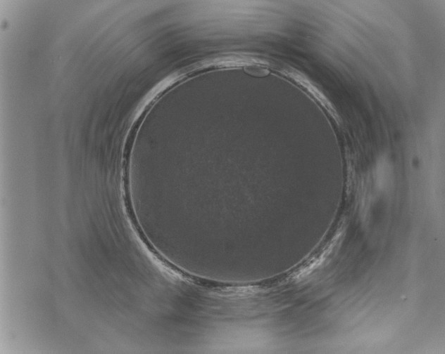 X0000072960853200608041151