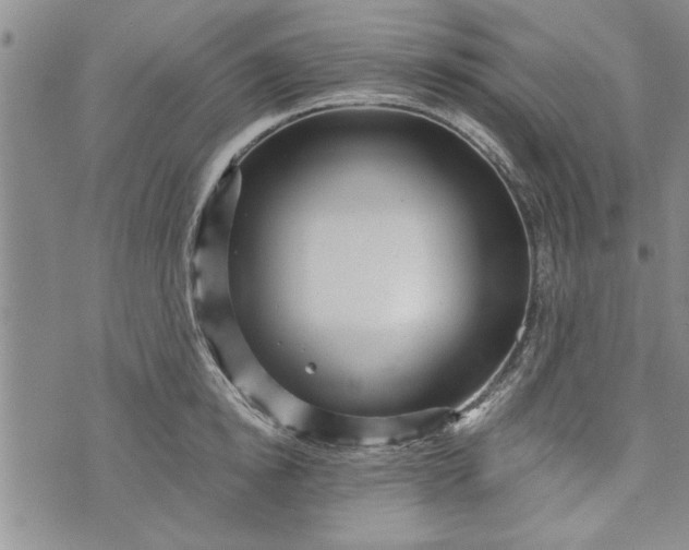 X0000072960854200608041151