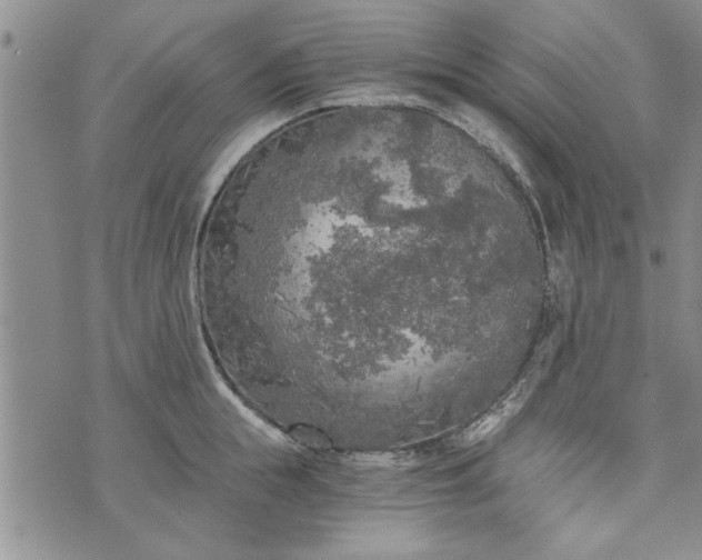 X0000072960855200608041151