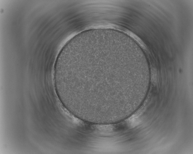 X0000072960856200608041151