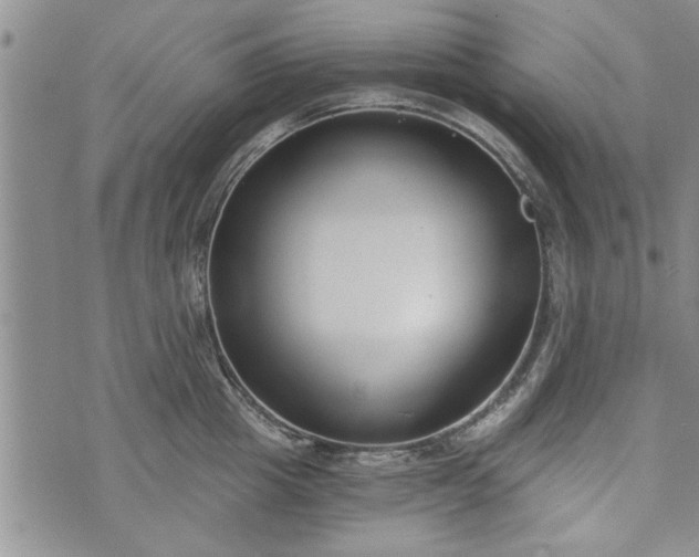 X0000072960857200608041151