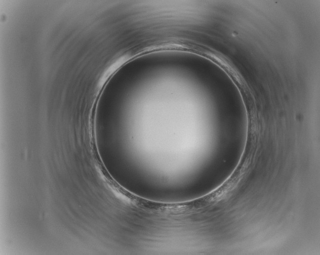 X0000072960858200608041151