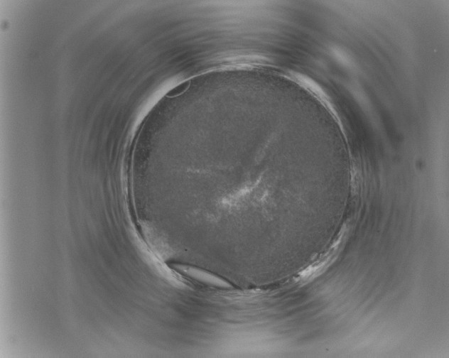 X0000072960859200608041151