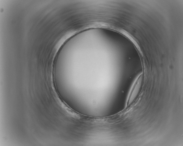 X0000072960861200608041151