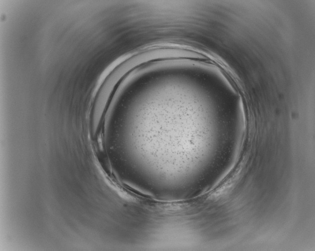 X0000072960862200608041151