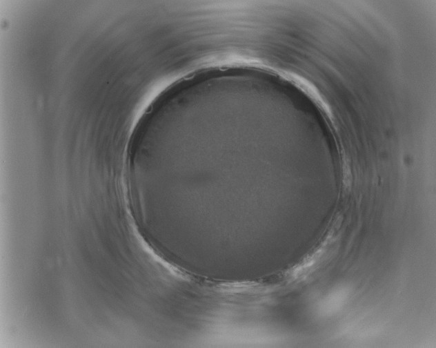 X0000072960863200608041151