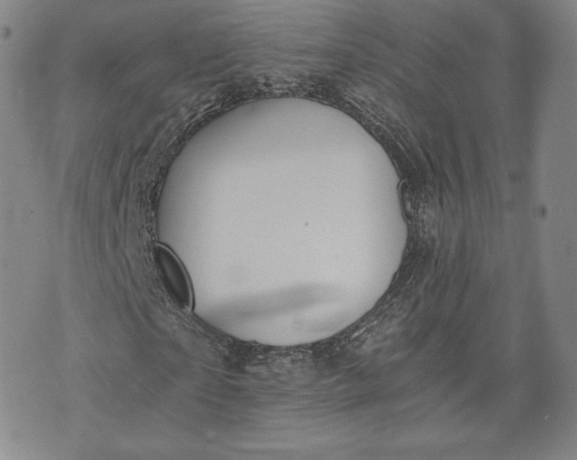 X0000072960865200608041150