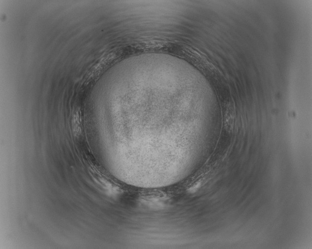 X0000072960866200608041150