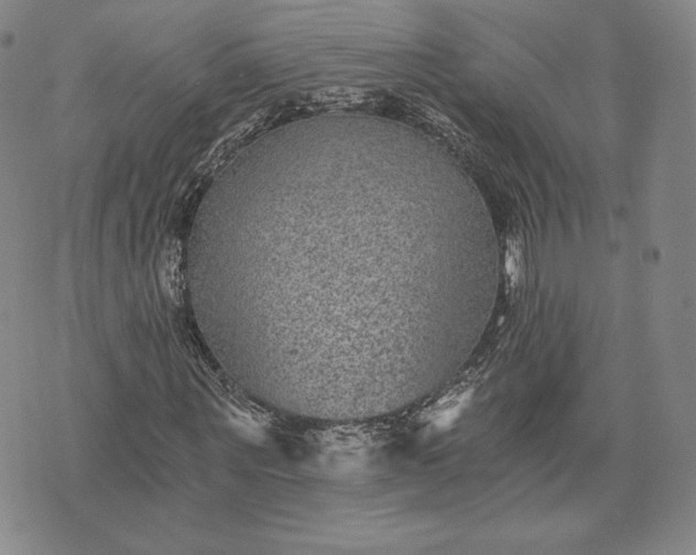 X0000072960867200608041150