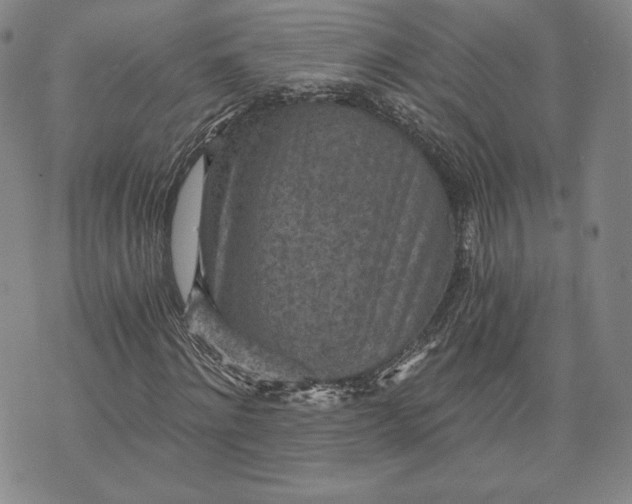 X0000072960868200608041150