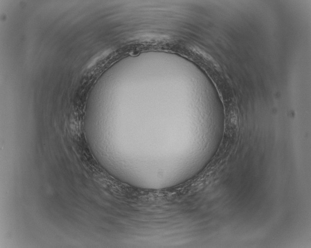 X0000072960869200608041150