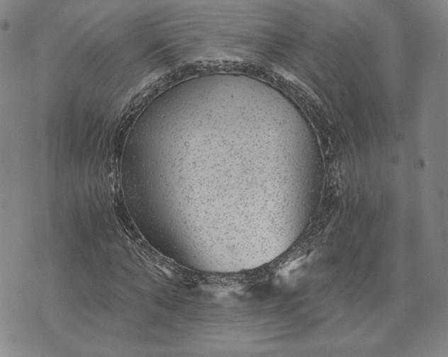 X0000072960870200608041150