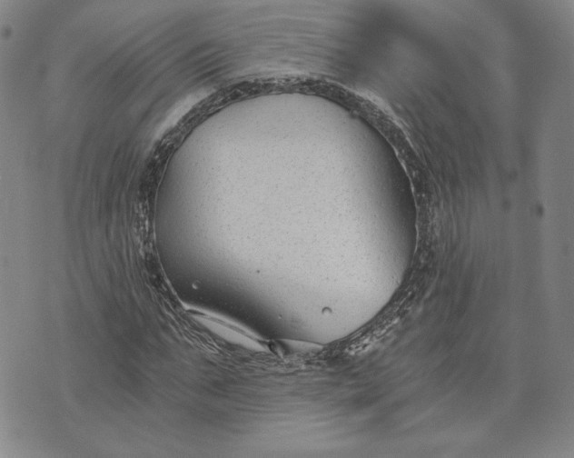 X0000072960871200608041150