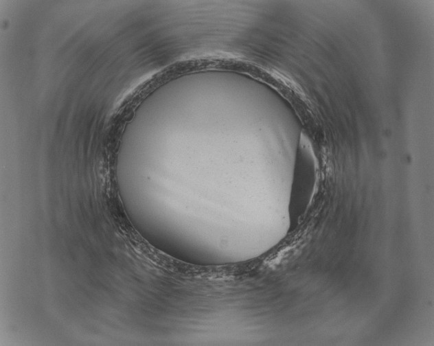 X0000072960872200608041150