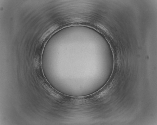 X0000072960873200608041150