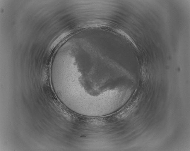 X0000072960874200608041150