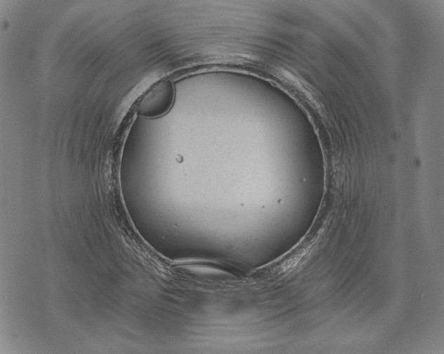 X0000072960875200608041150