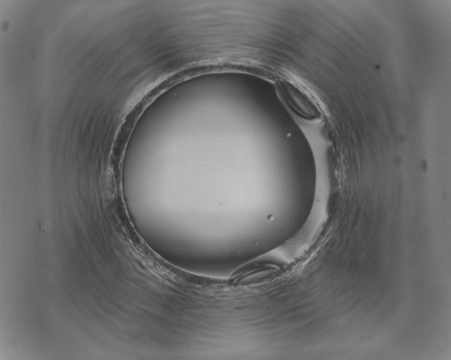 X0000072960876200608041150