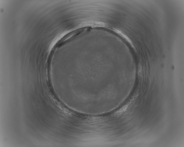 X0000072960877200608041150