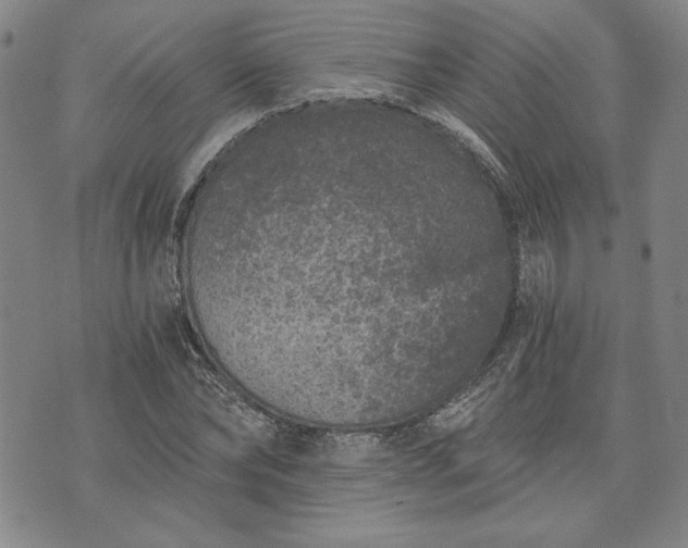 X0000072960878200608041150