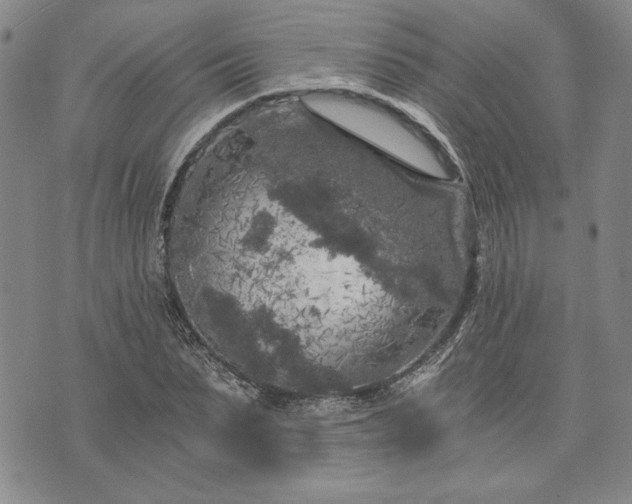 X0000072960879200608041150