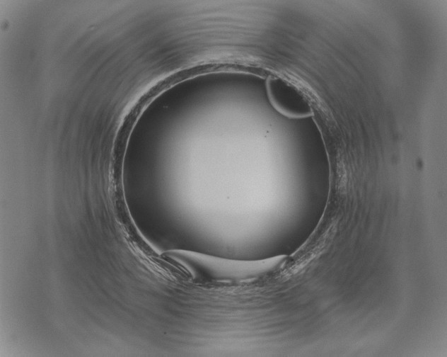 X0000072960880200608041150