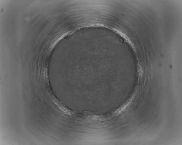 X0000072960881200608041150