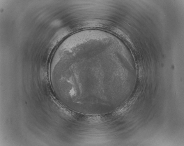 X0000072960882200608041150