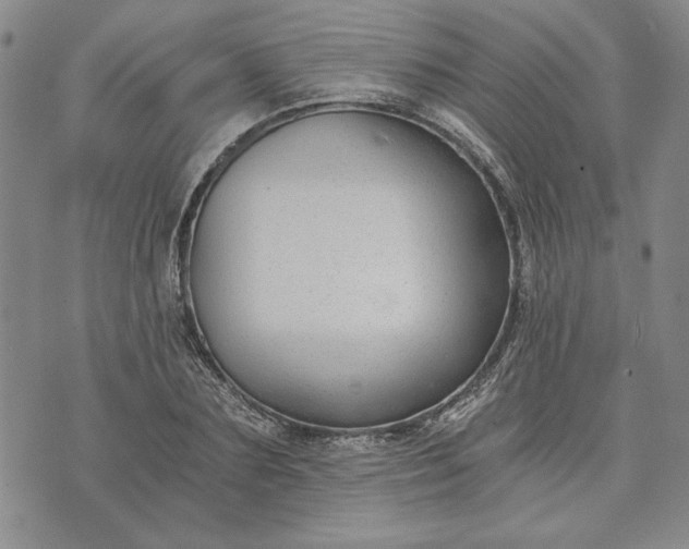 X0000072960883200608041150