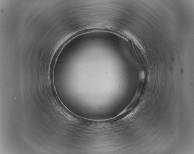 X0000072960884200608041150