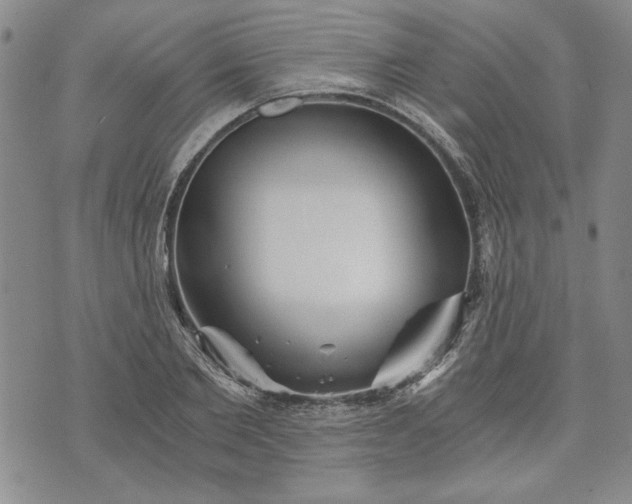 X0000072960885200608041150