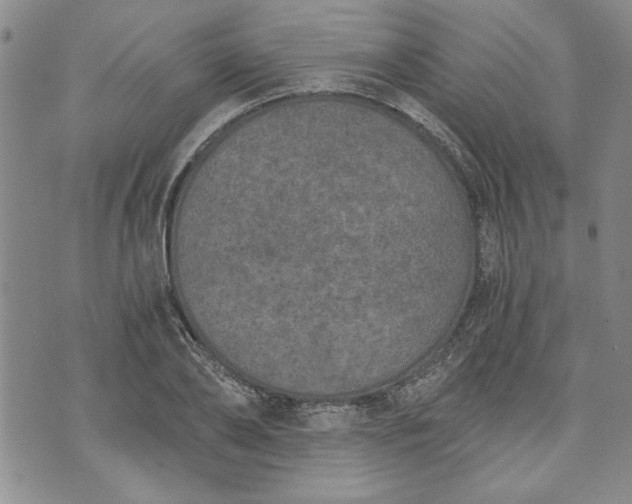 X0000072960886200608041150