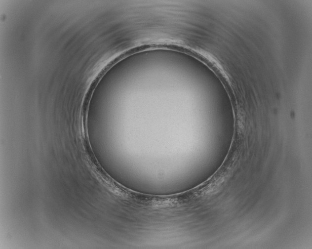 X0000072960887200608041150