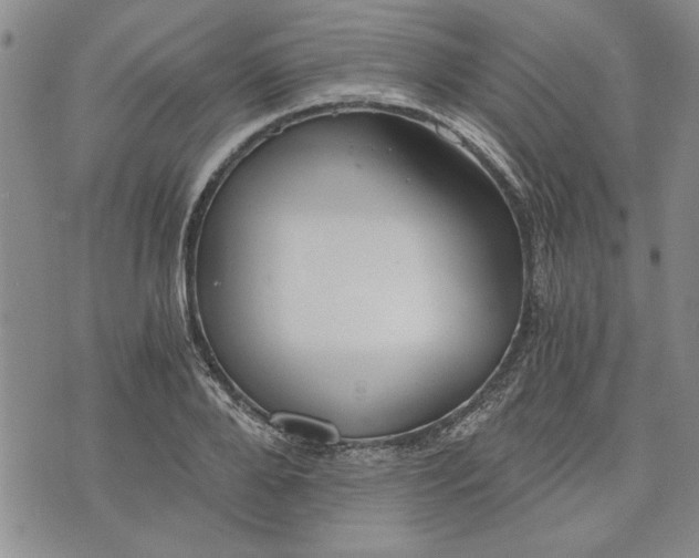 X0000072960888200608041150