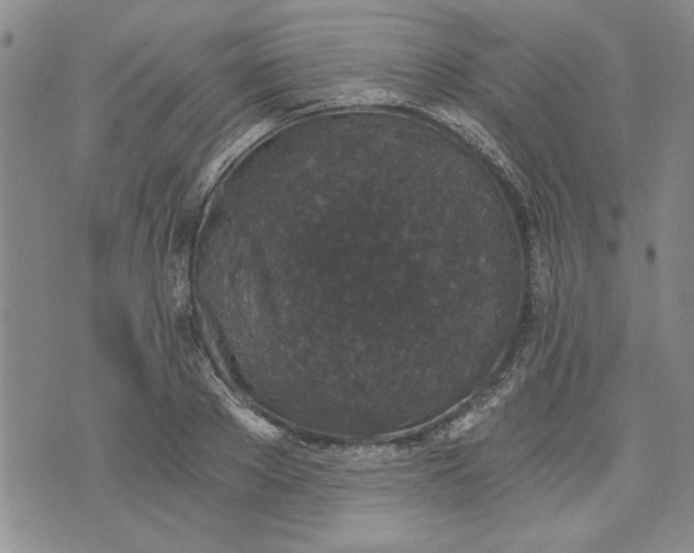 X0000072960889200608041150