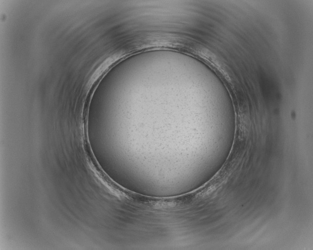 X0000072960890200608041150