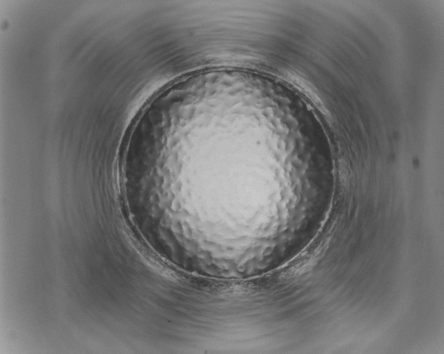 X0000072960891200608041150