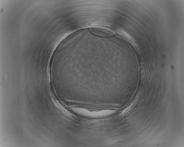 X0000072960892200608041150