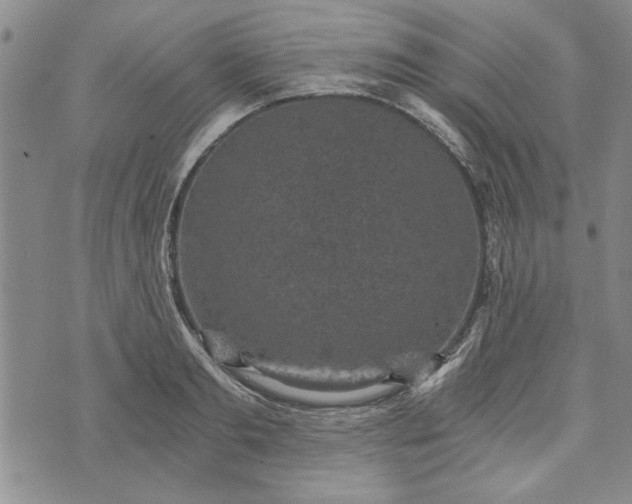 X0000072960893200608041150