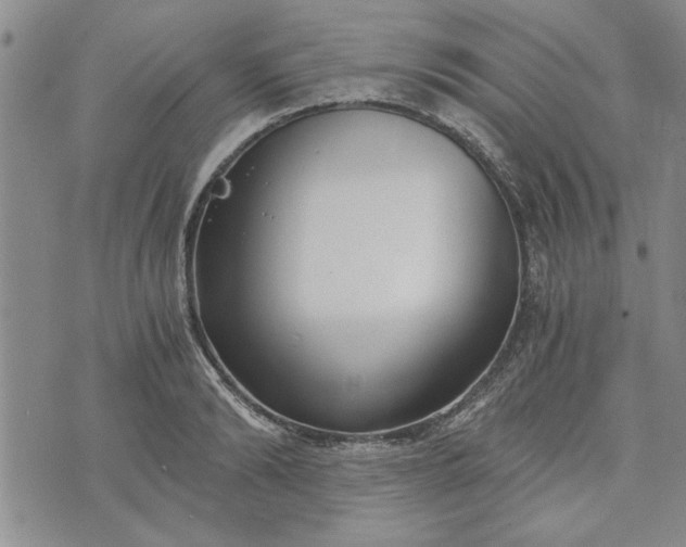 X0000072960894200608041150