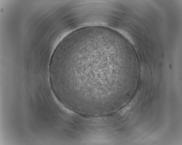 X0000072960895200608041150