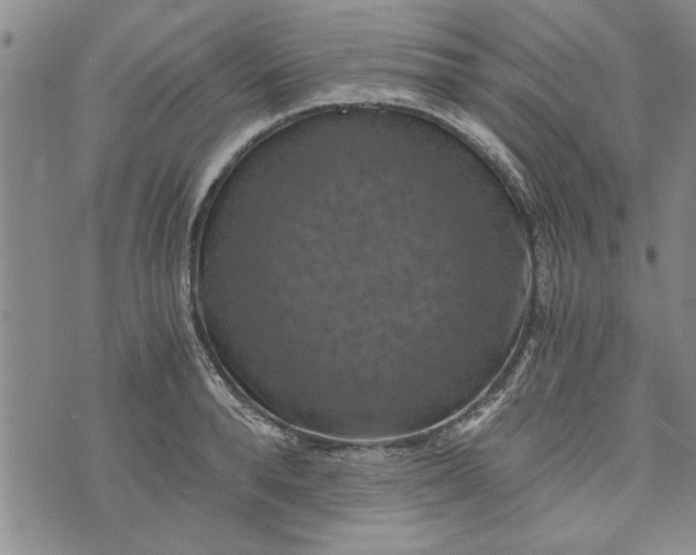 X0000072960896200608041150