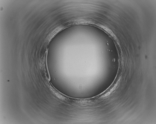 X0000072960897200608041150