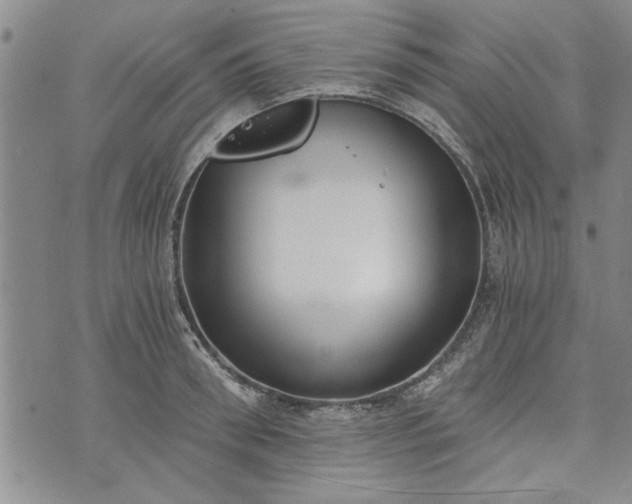 X0000072960898200608041150