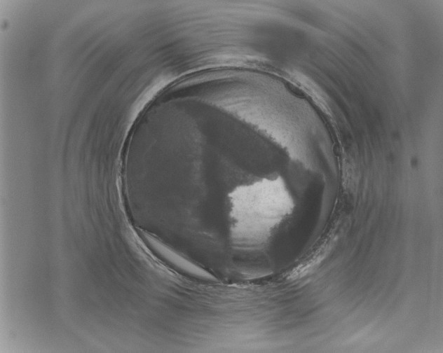 X0000072960899200608041150