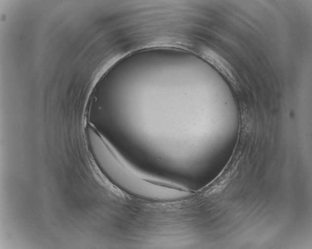 X0000072960900200608041150